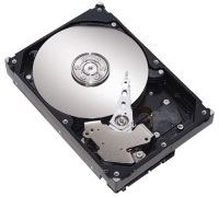 Seagate DiamondMax 21 320GB Ultra-ATA/100 (6A320Y0)